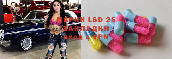 прущие грибы Алексеевка