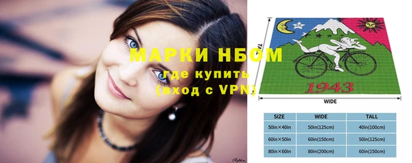 шишки Алзамай